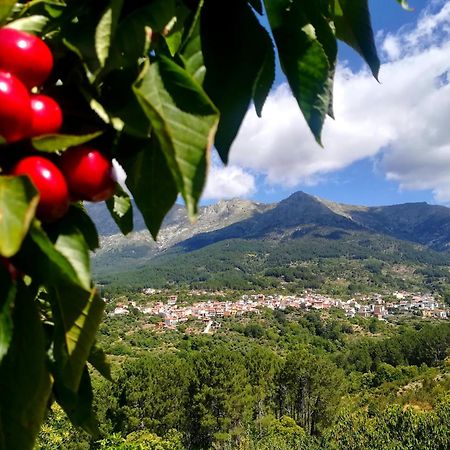 Albareilla By #Cherrygredos El Arenal  Kültér fotó