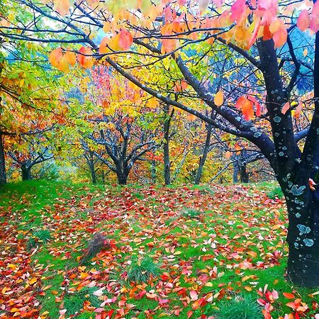 Albareilla By #Cherrygredos El Arenal  Kültér fotó