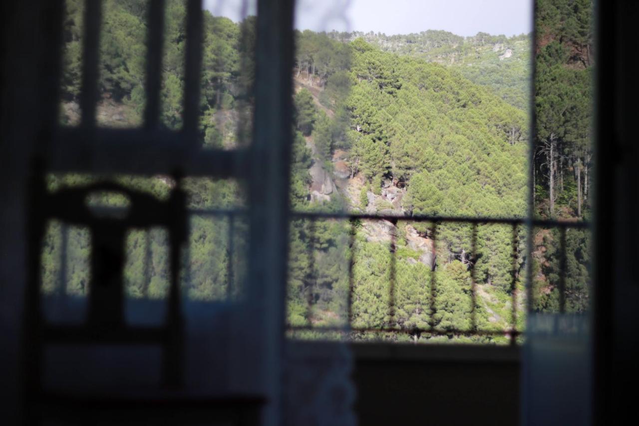 Albareilla By #Cherrygredos El Arenal  Kültér fotó