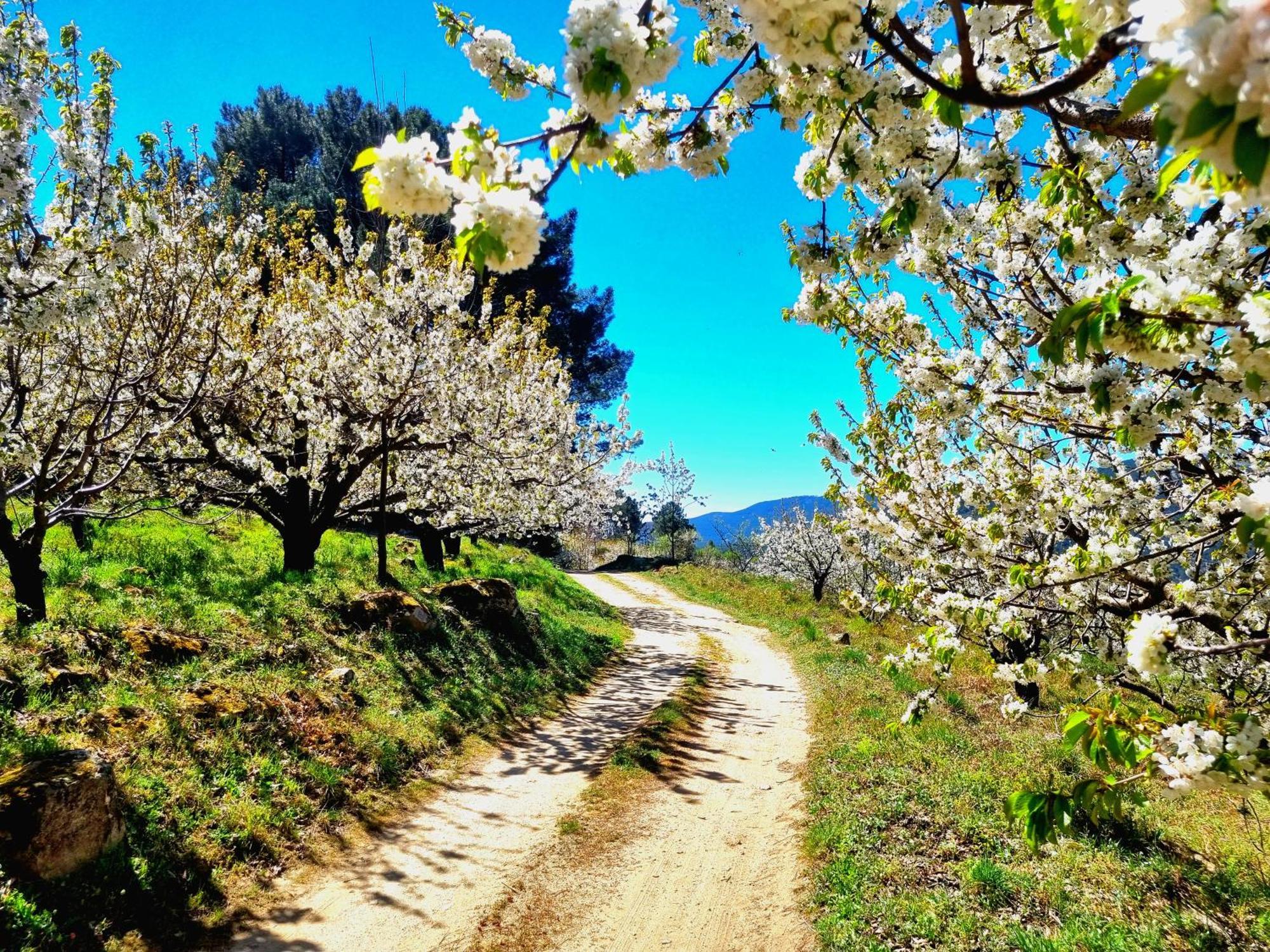 Albareilla By #Cherrygredos El Arenal  Kültér fotó