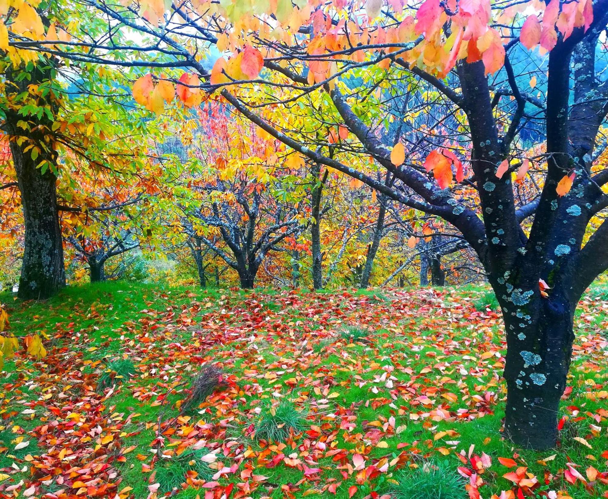 Albareilla By #Cherrygredos El Arenal  Kültér fotó