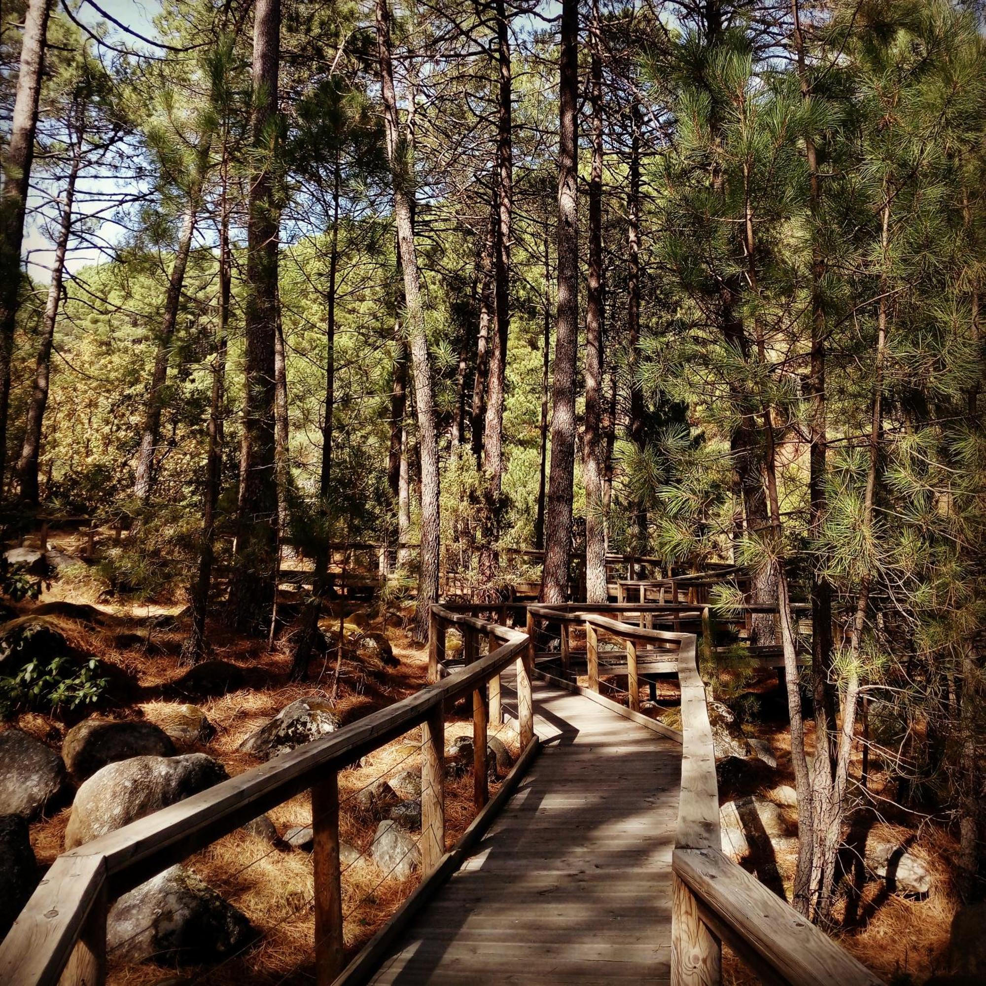 Albareilla By #Cherrygredos El Arenal  Kültér fotó