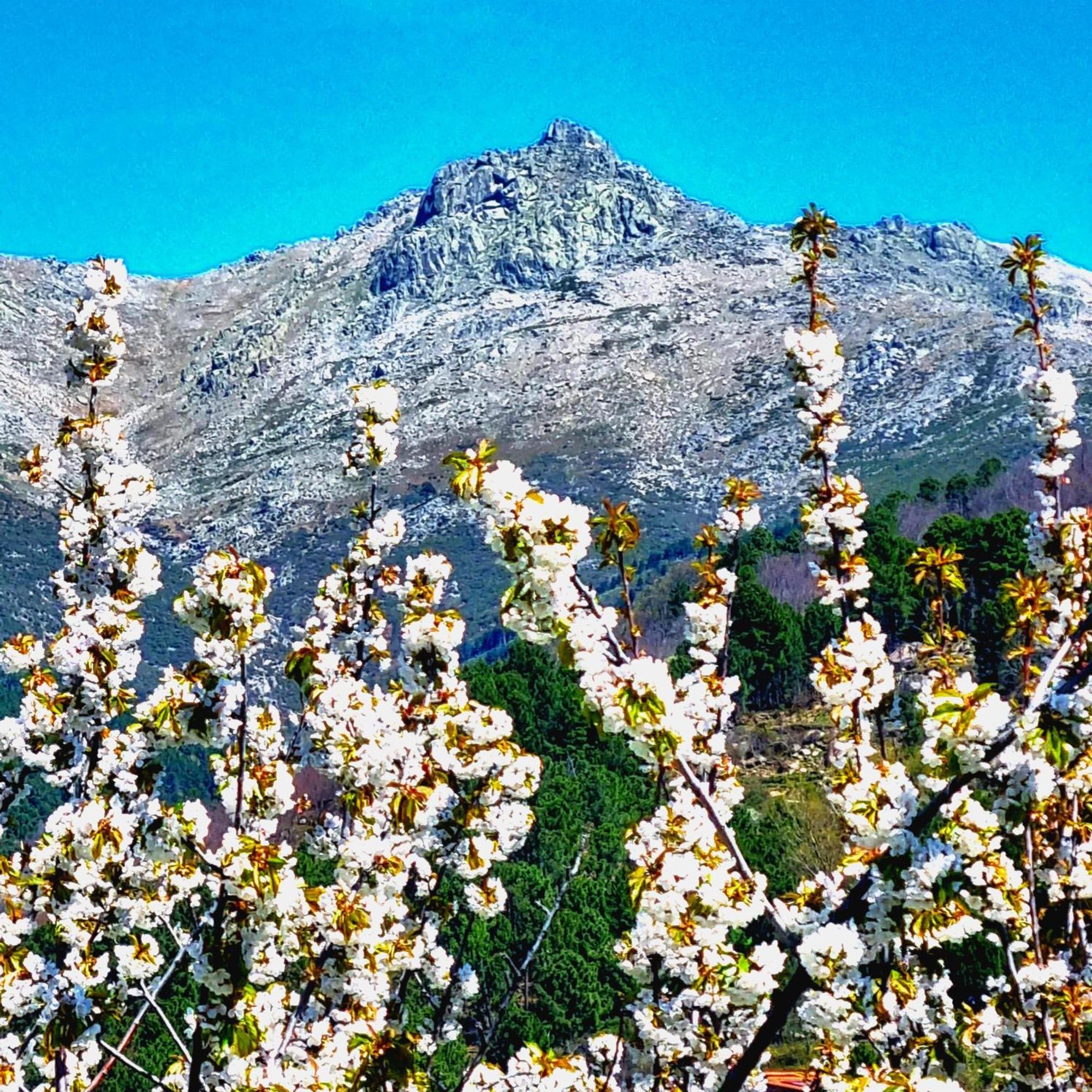 Albareilla By #Cherrygredos El Arenal  Kültér fotó