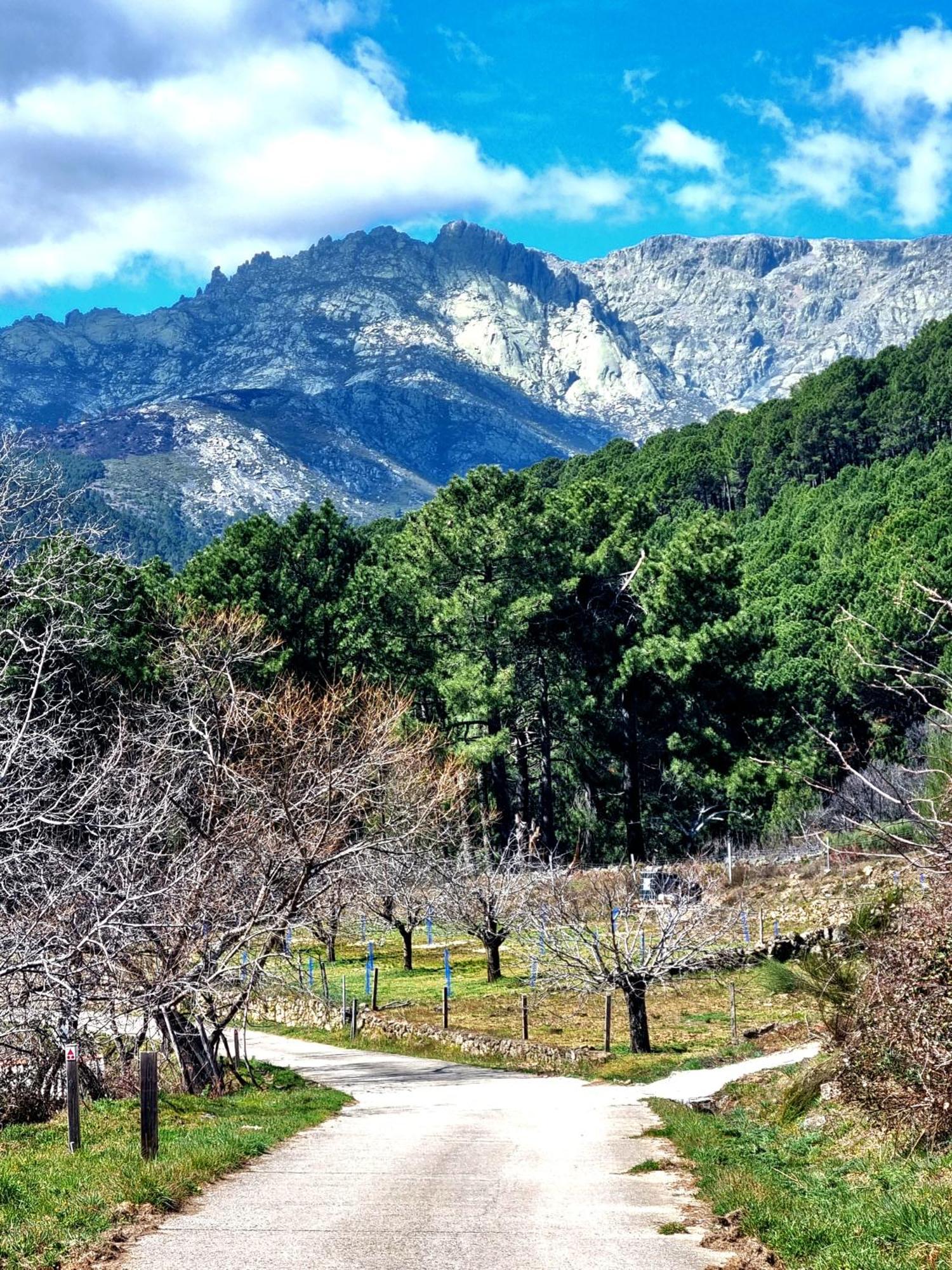 Albareilla By #Cherrygredos El Arenal  Kültér fotó