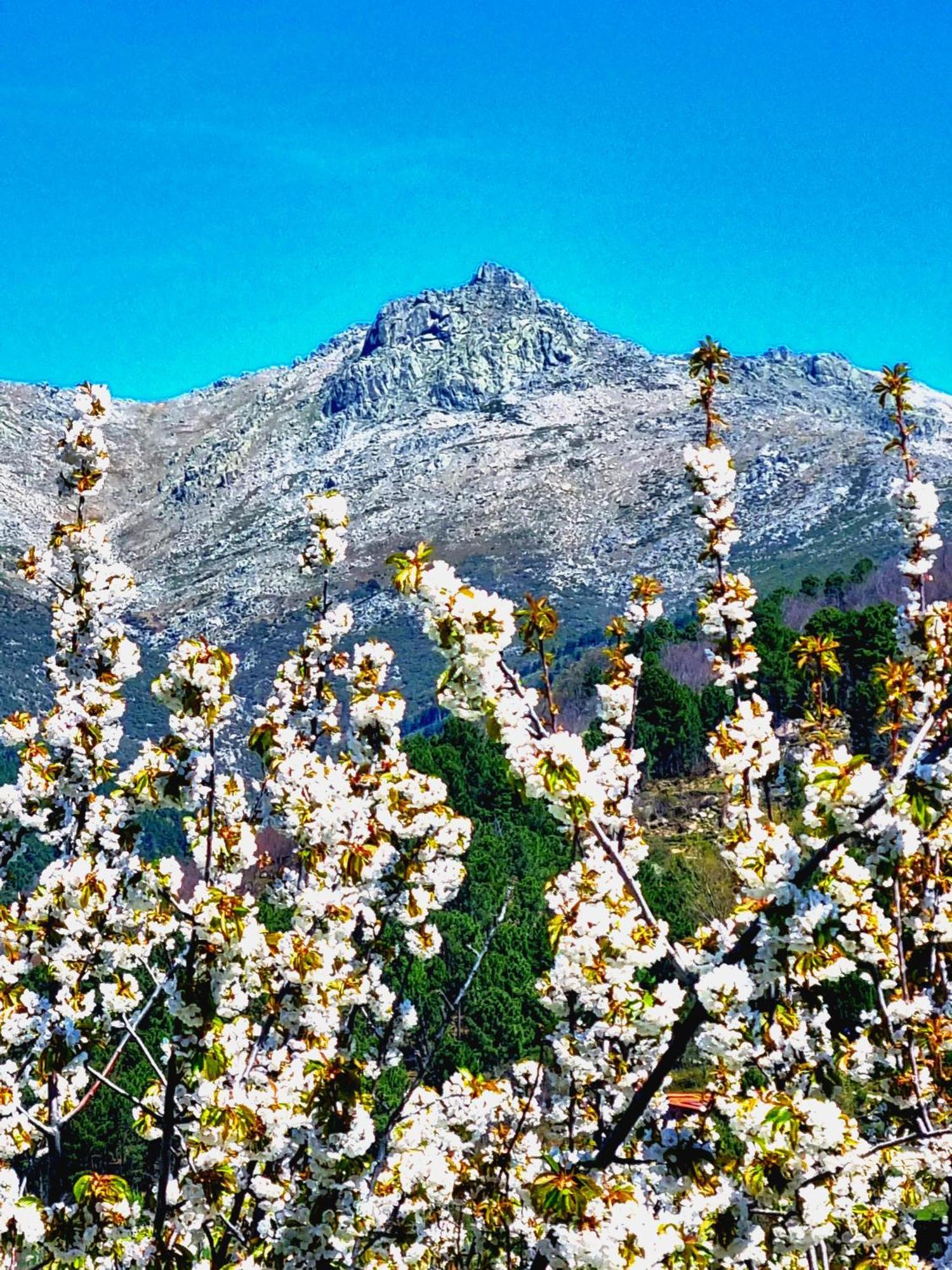 Albareilla By #Cherrygredos El Arenal  Kültér fotó