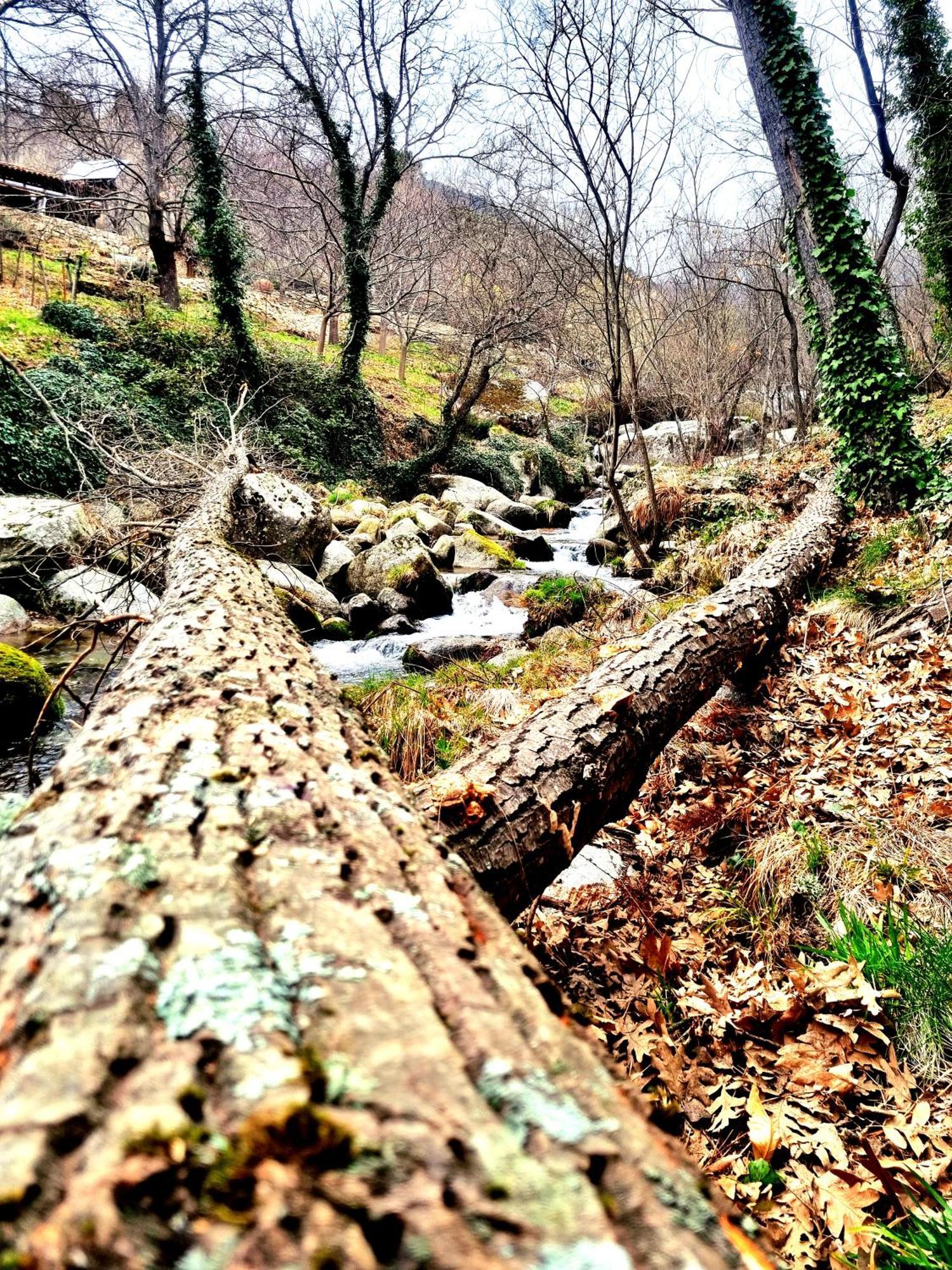 Albareilla By #Cherrygredos El Arenal  Kültér fotó