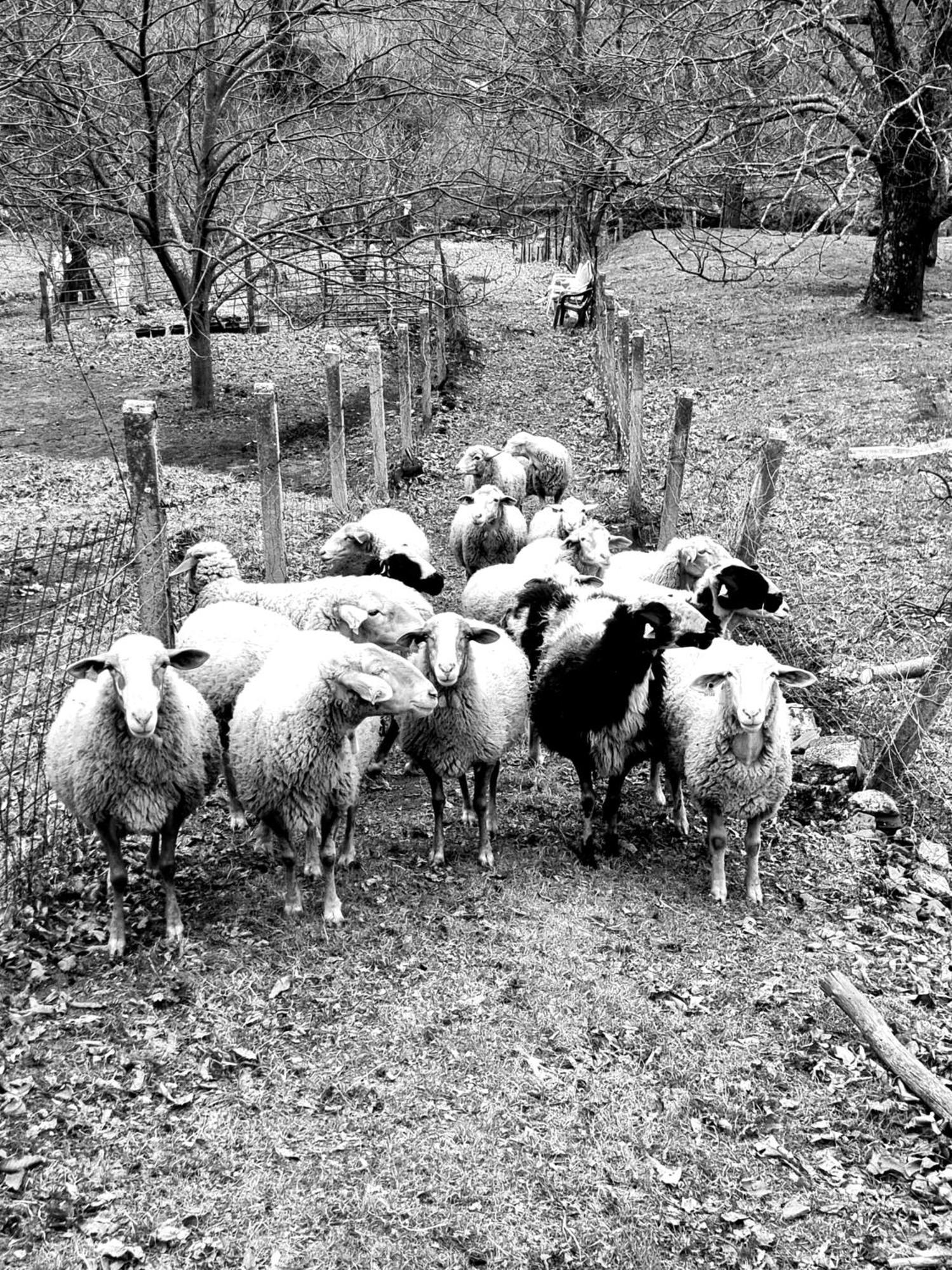 Albareilla By #Cherrygredos El Arenal  Kültér fotó