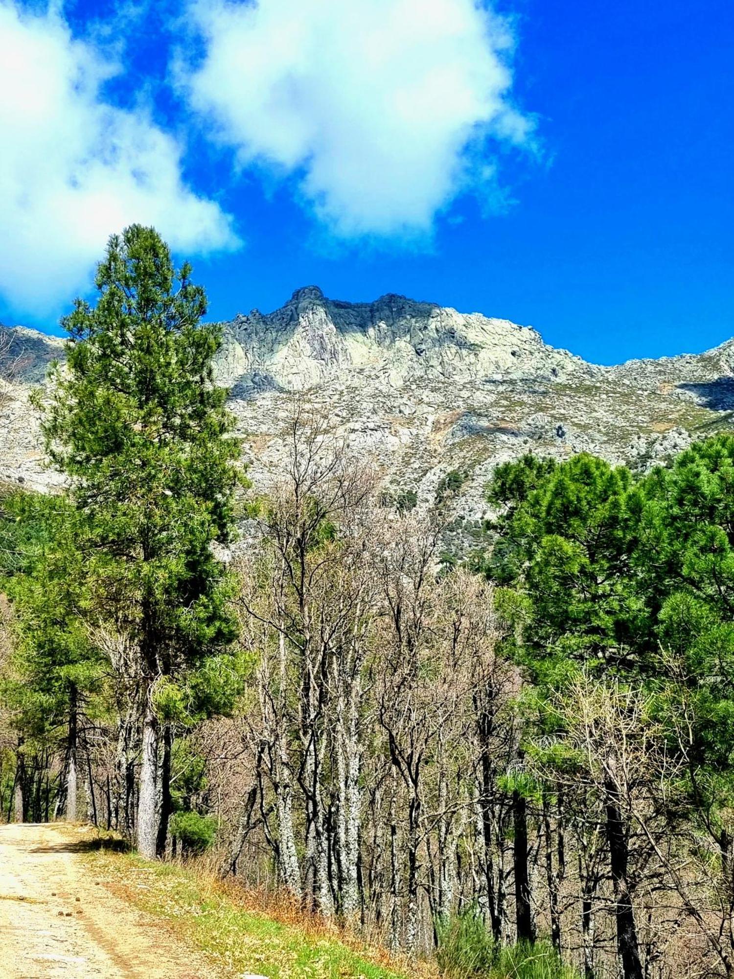 Albareilla By #Cherrygredos El Arenal  Kültér fotó